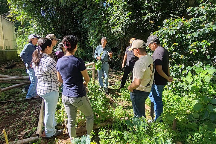 Alumnos de agronomía aplican conocimientos en módulo forestal de la UV