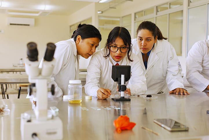 Atienden 100% de solicitudes de beca de nuevo ingreso a posgrados UV