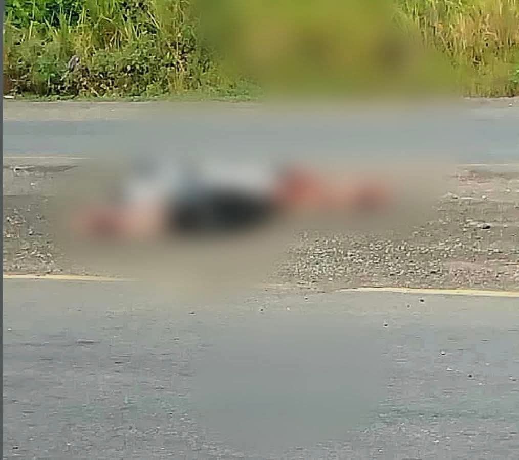 Fiscalía investiga hallazgo de restos humanos en la carretera Álamo–Potrero del Llano