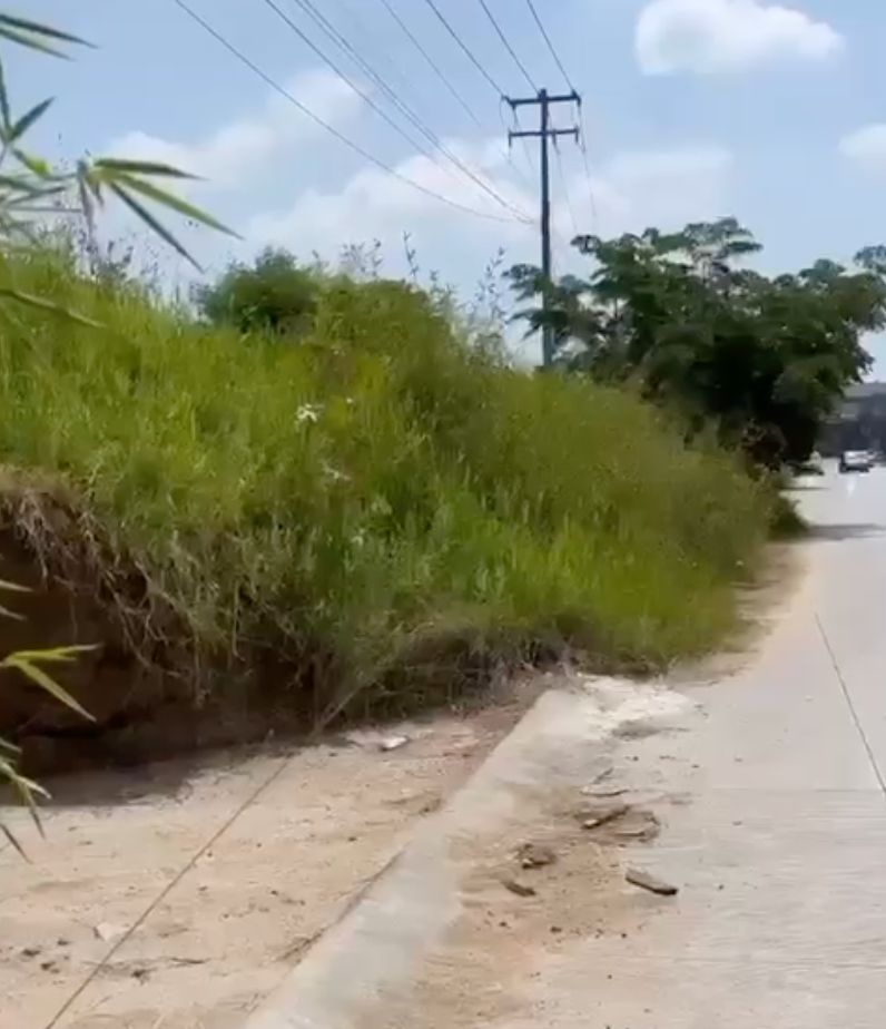 Vecinos de El Porvenir, Las Colinas y Valle Real denuncian abandono en accesos