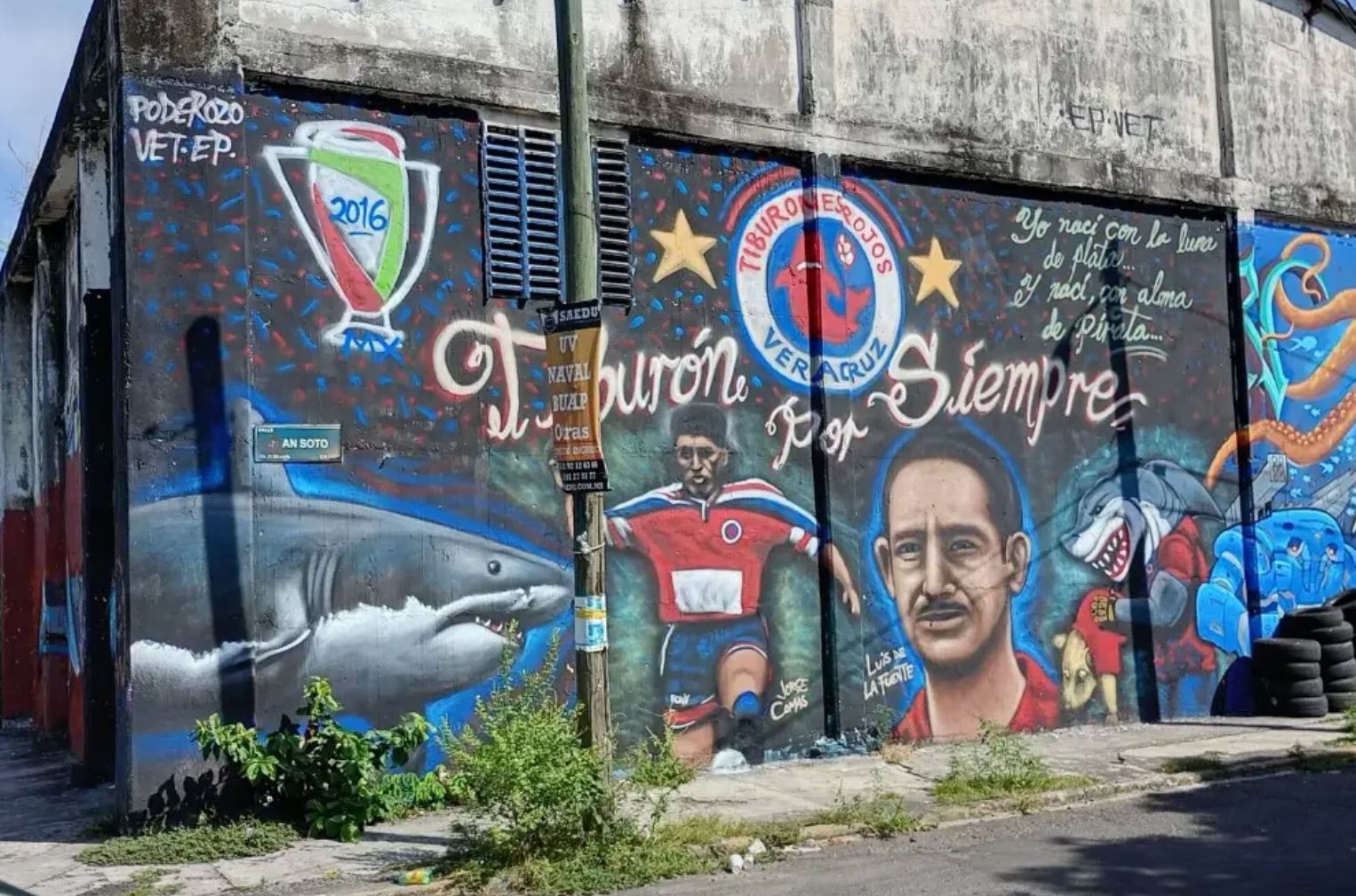 Mural Tiburón por Siempre: Un homenaje de la afición a los Tiburones Rojos en Veracruz