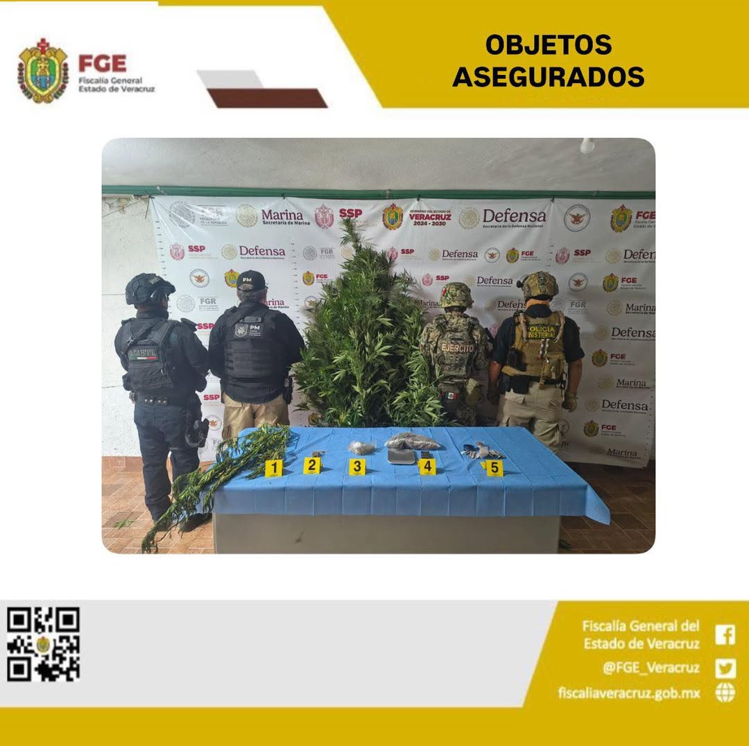 Fiscalía y fuerzas federales aseguran droga en tres inmuebles de Xico