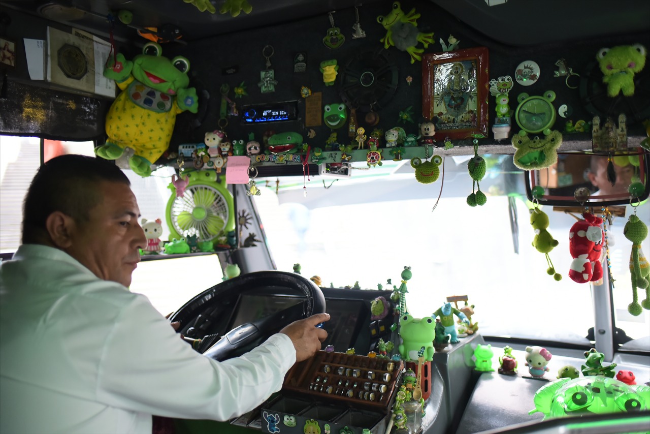 El Sapobús: la ruta que alegra Xalapa con ranas y buen ánimo