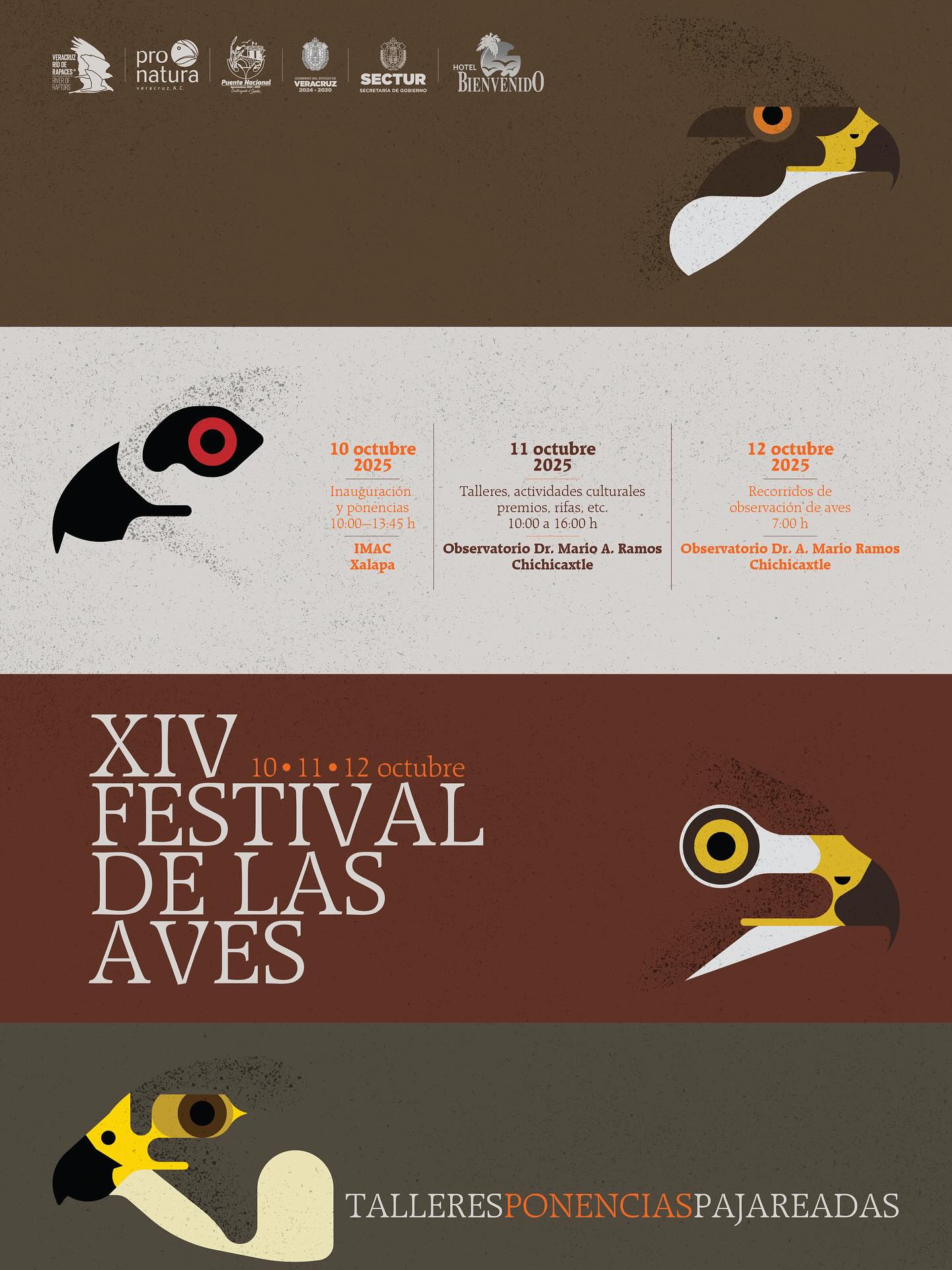 Festival de las Aves 2025 en Veracruz será del 10 al 12 de octubre