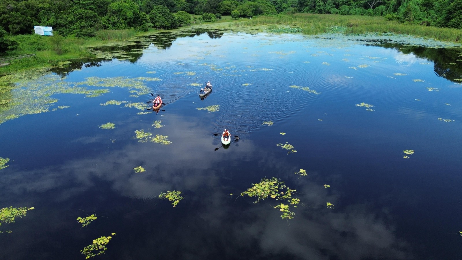 Evalúan condiciones de la laguna de San Julián en Veracruz por mortandad de peces