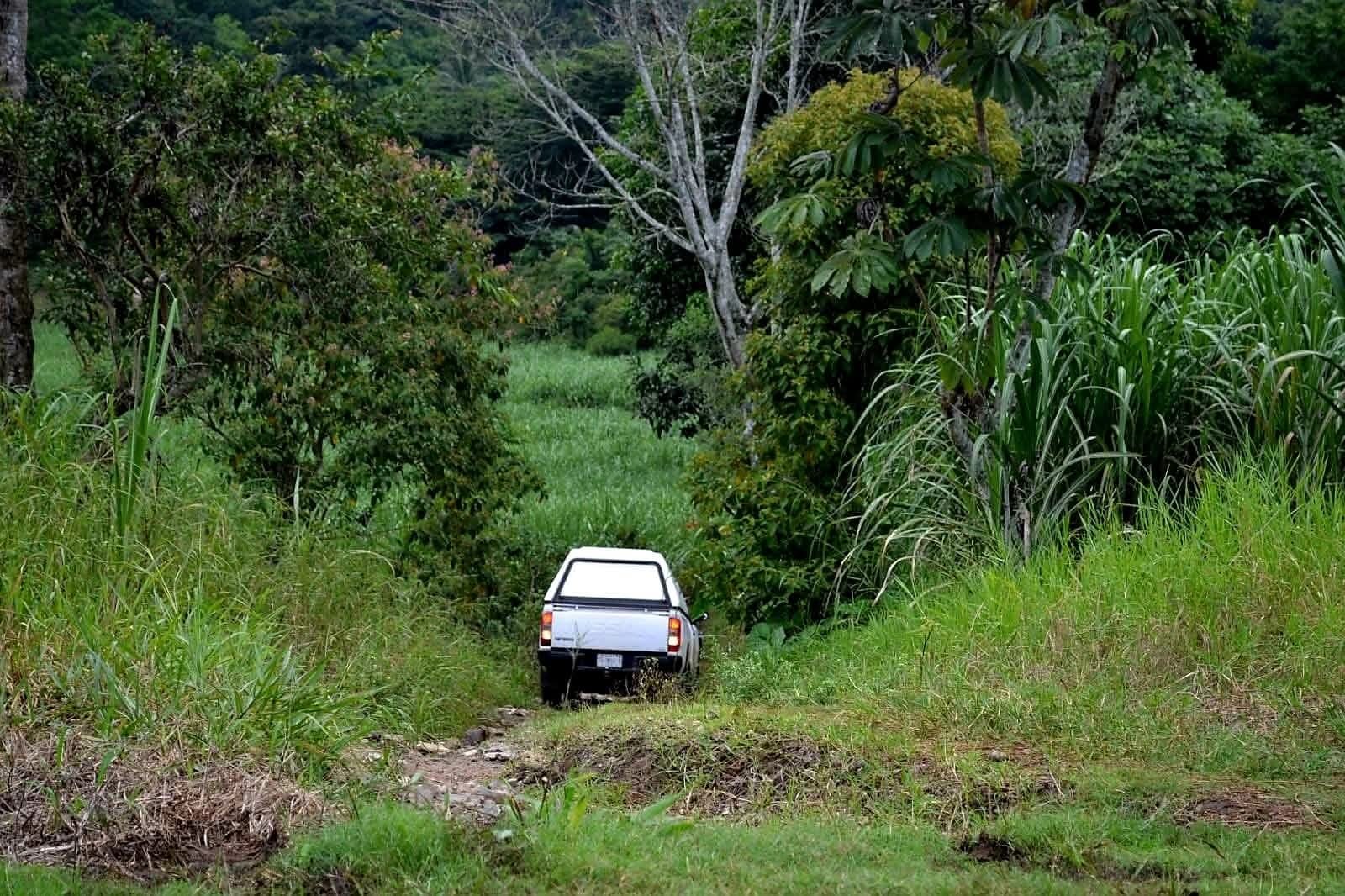 Hallan extremidades humanas en hielera en Omealca