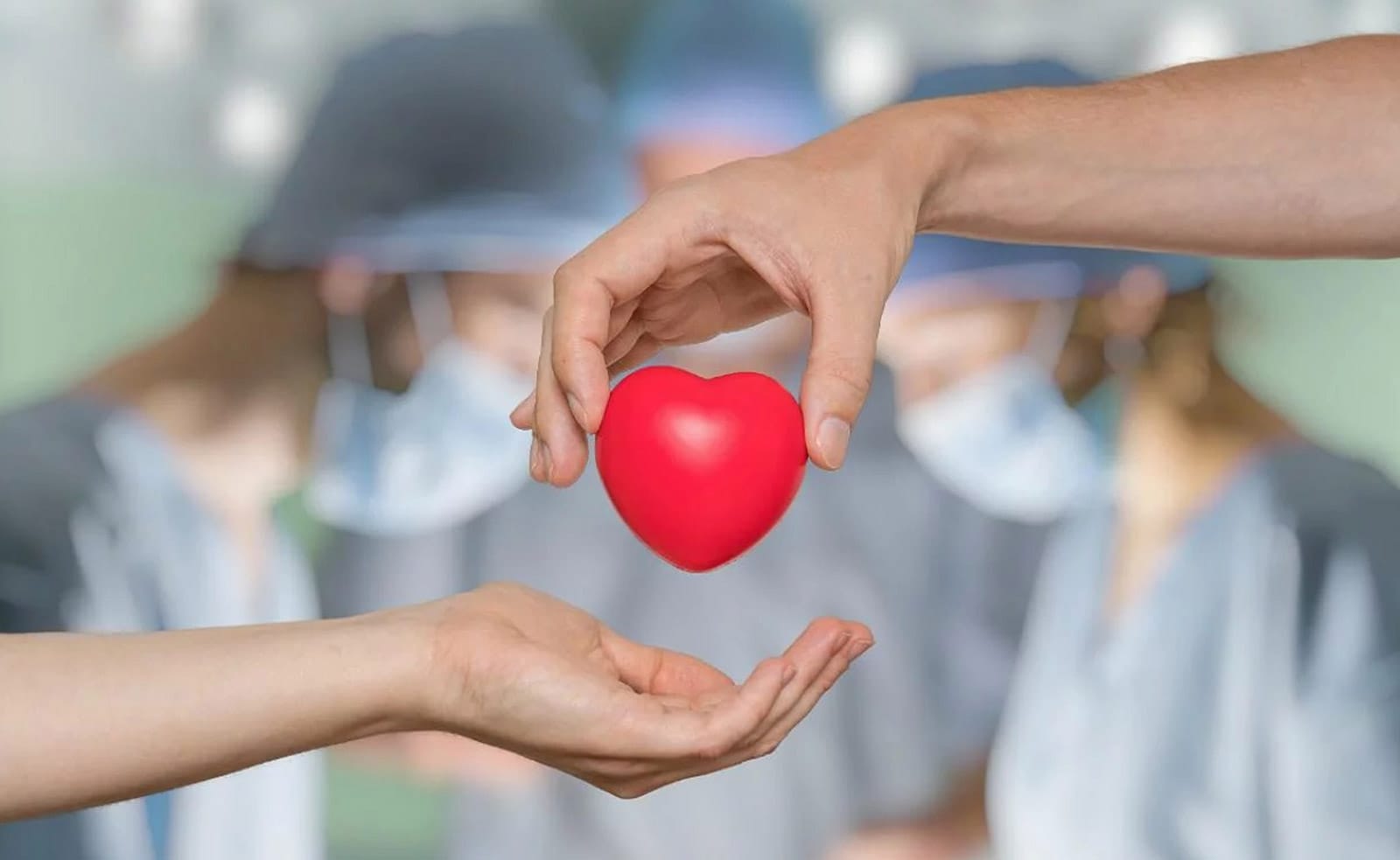 Caminata por Día Nacional de Donación y Trasplante de Órganos este domingo 28 de septiembre