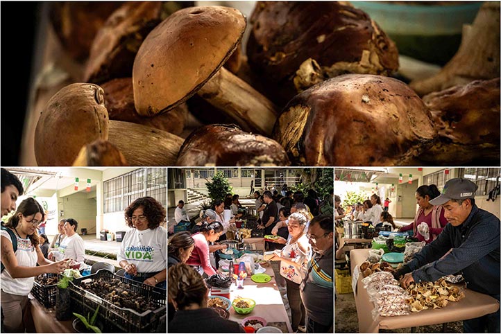Agricultores trajeron hongos y productos naturales a la UV