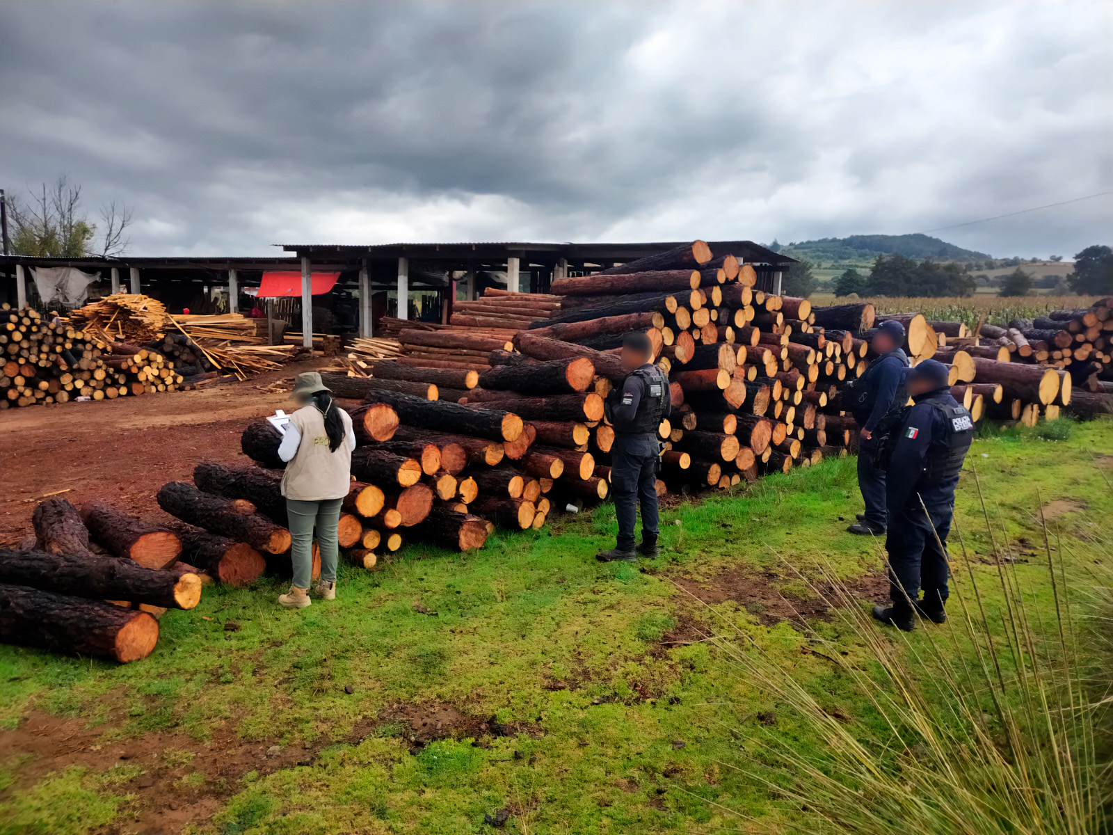 Clausuran aserradero en Altotonga; aseguran más de 420 m³ de madera