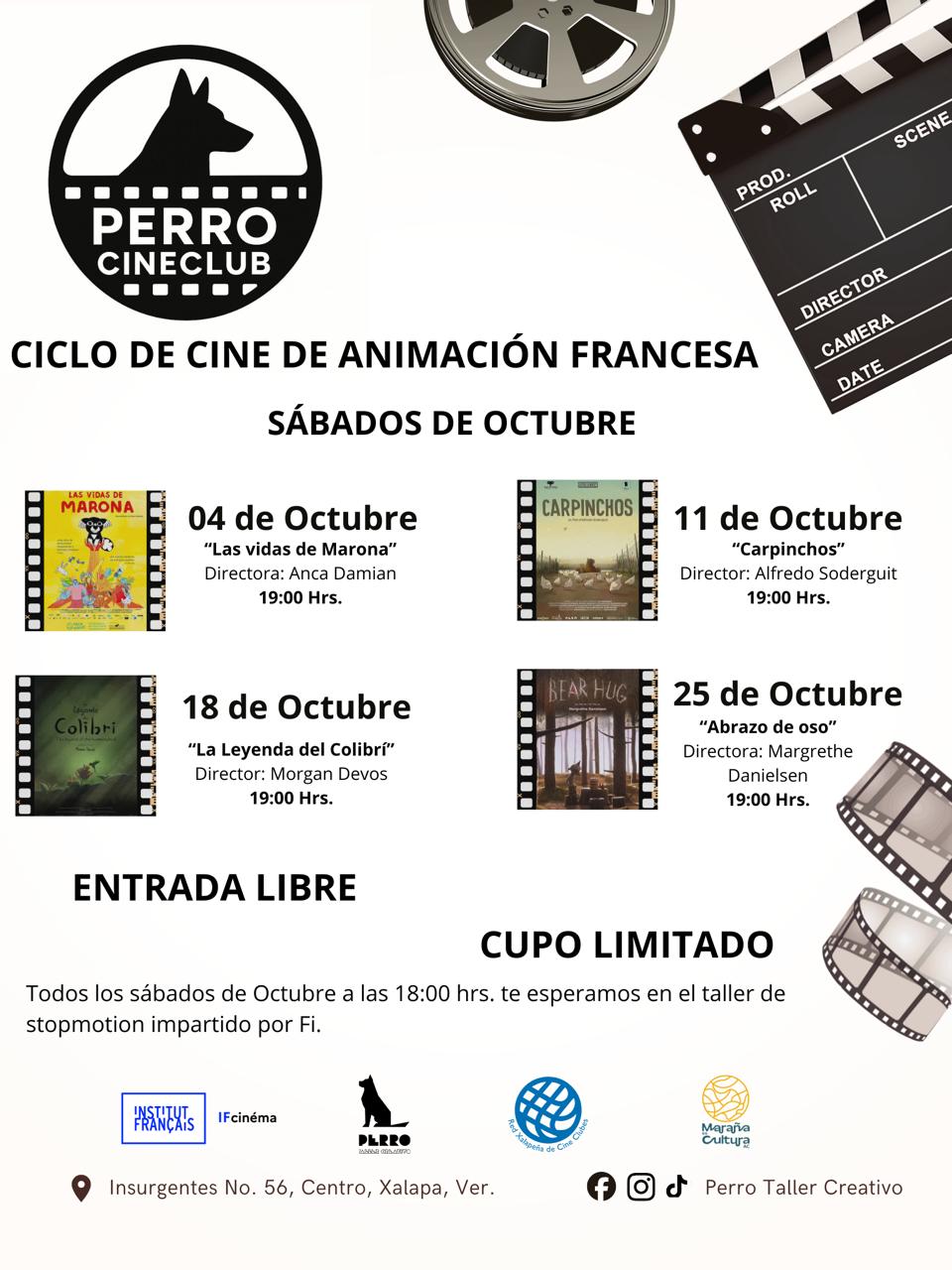 Nace en Xalapa Perro Cineclub, espacio especializado en animación
