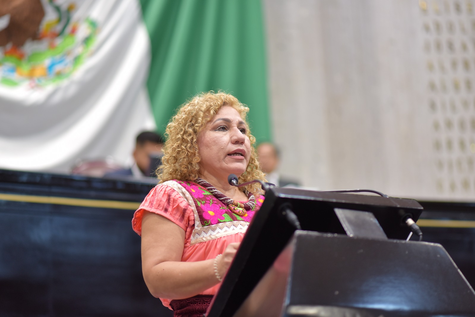 Aprueban reforma para que ayuntamientos promuevan el desarrollo artesanal