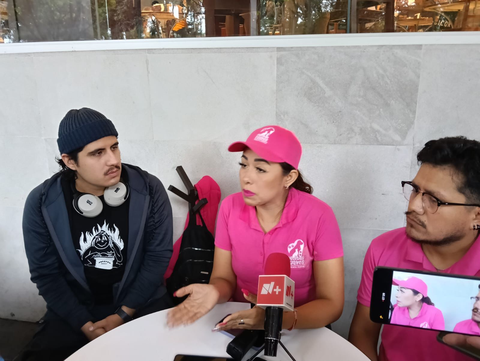 Pasarela de adopción de perros este domingo en Los Lagos