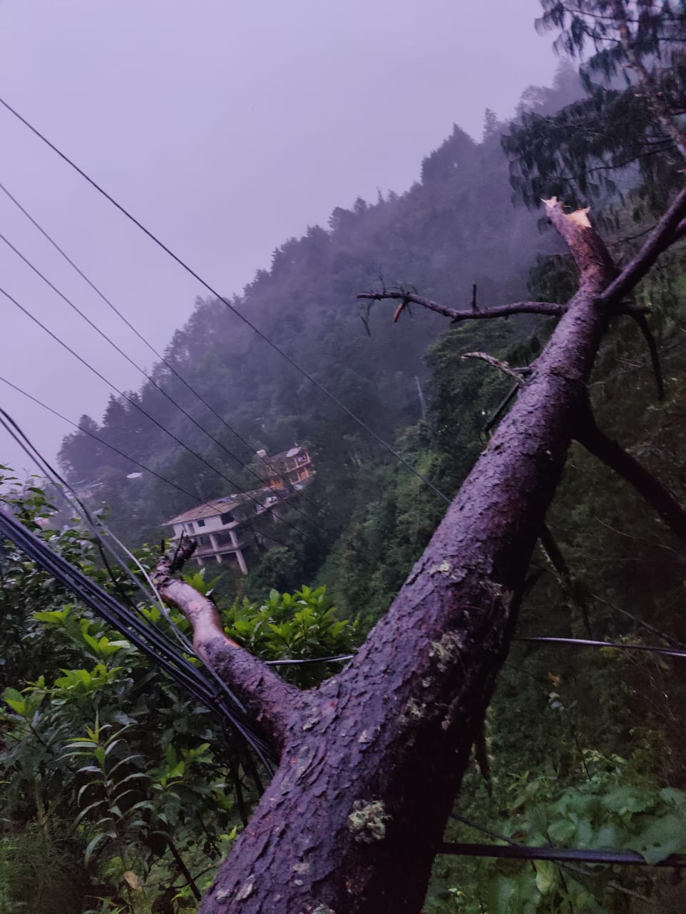 Suspenden clases en la sierra de Zongolica por fuertes lluvias y derrumbes