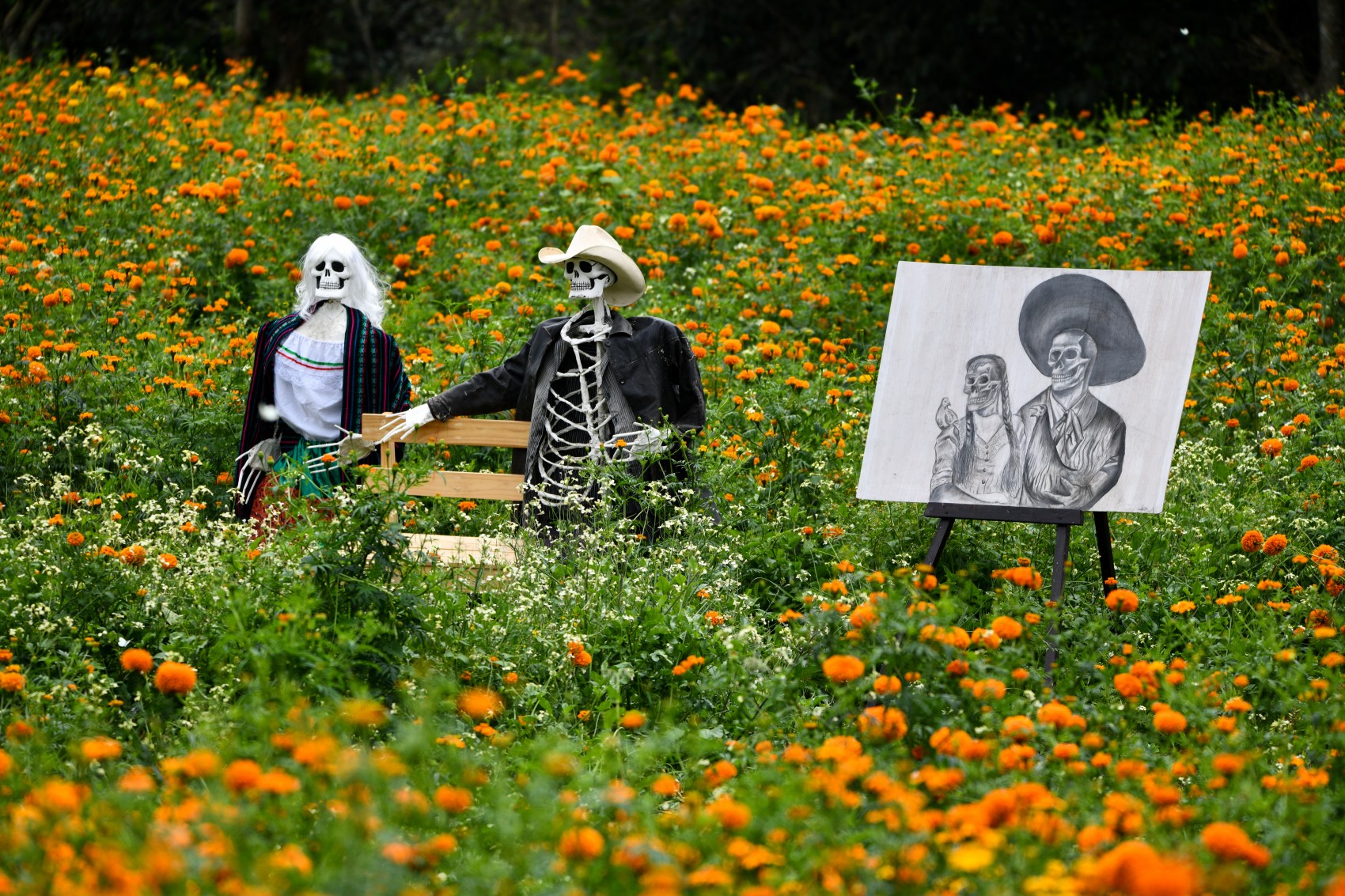 Inician los recorridos por los campos de flor de cempasúchil de San Pablo Coapan