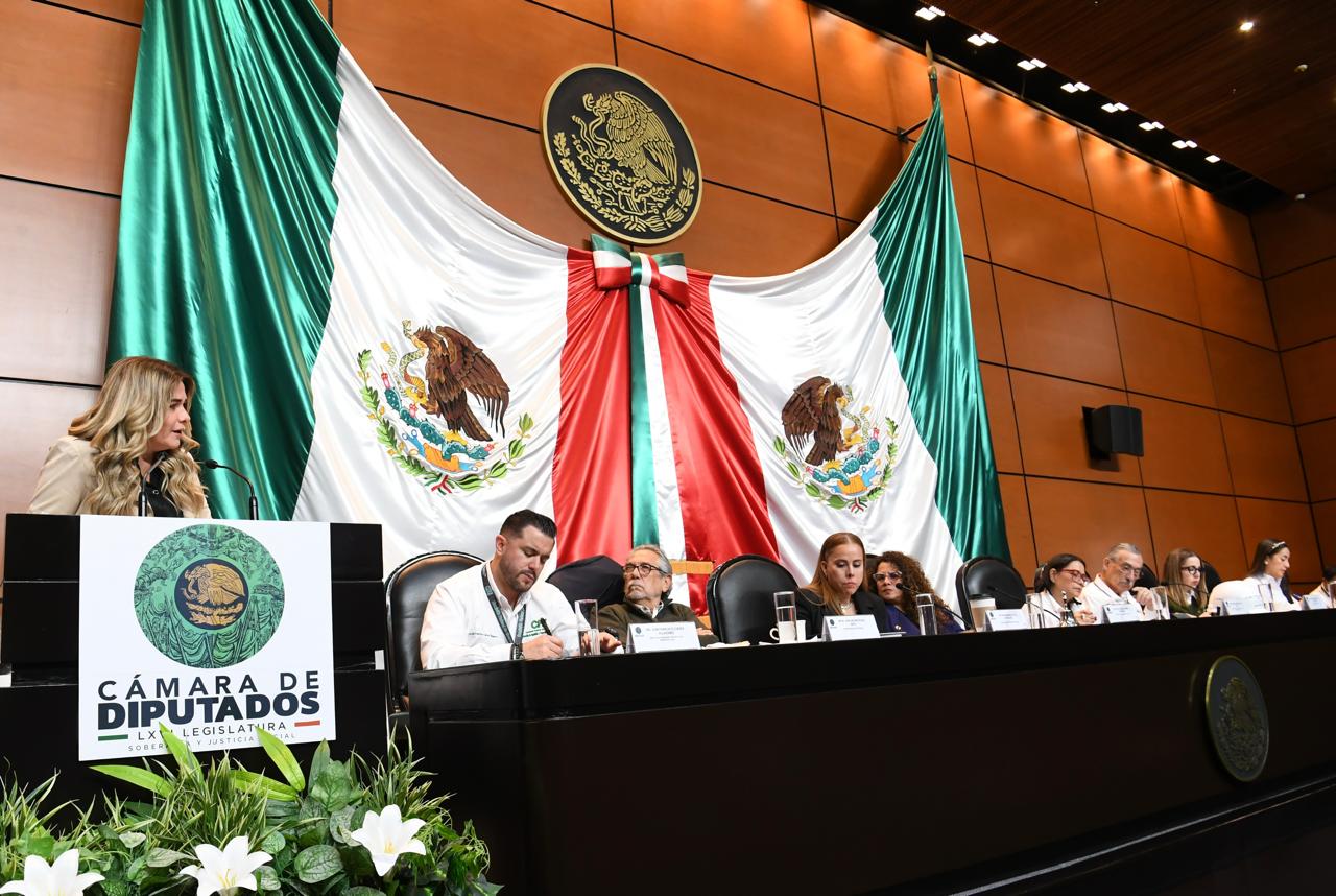 Demanda Maryjose Gamboa a directora de la CFE reclasificar tarifas eléctricas en Boca del Río