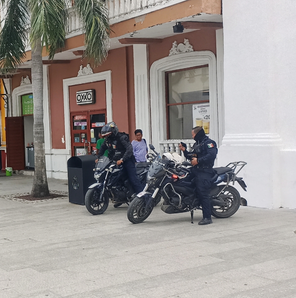 Robos a casa-habitación y seguridad en comercios, los retos de la Policía Municipal de Veracruz