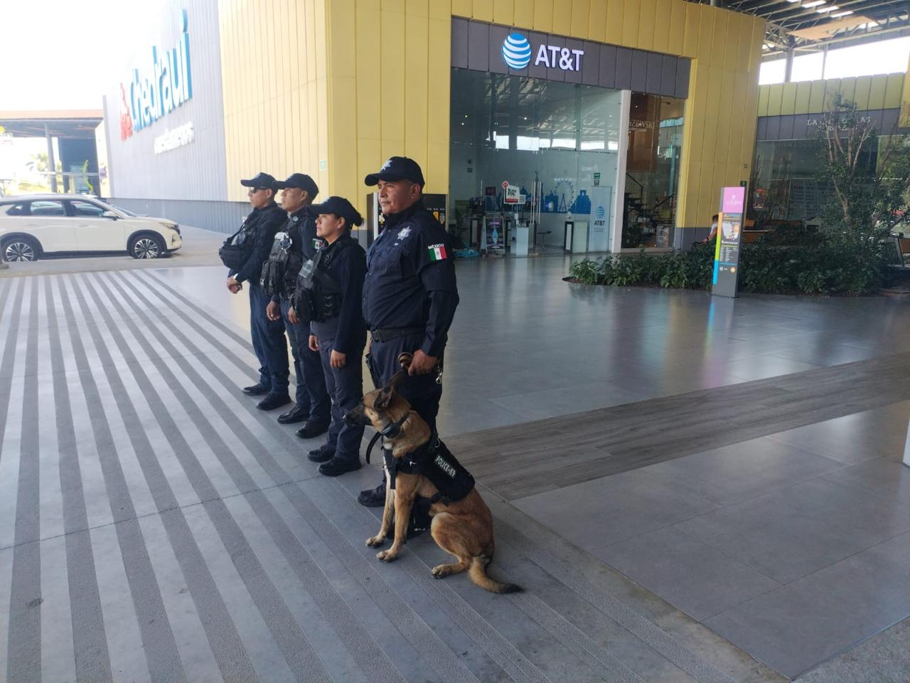 Buen Fin: patrullan 800 policías estatales plazas comerciales