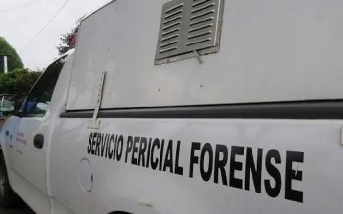 Localizan cuerpo sin vida en parcela de Chiltoyac