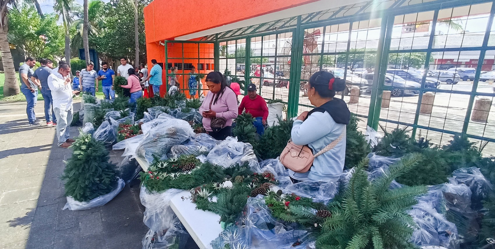 Ofrecen arbolitos de Navidad y coronas de adviento mujeres de la comunidad de El Conejo en la USBI Mocambo