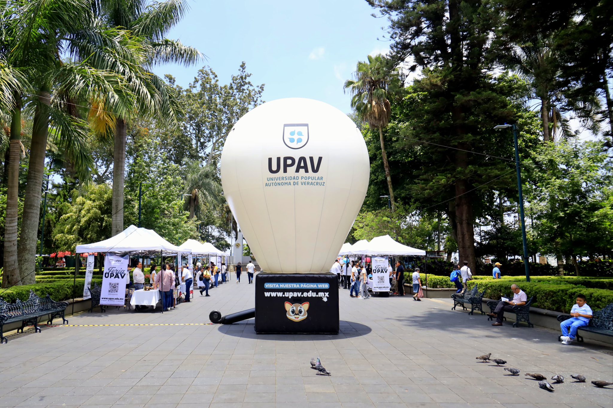 Congreso ajusta reforma a ley de la UPAV para reforzar control presupuestal