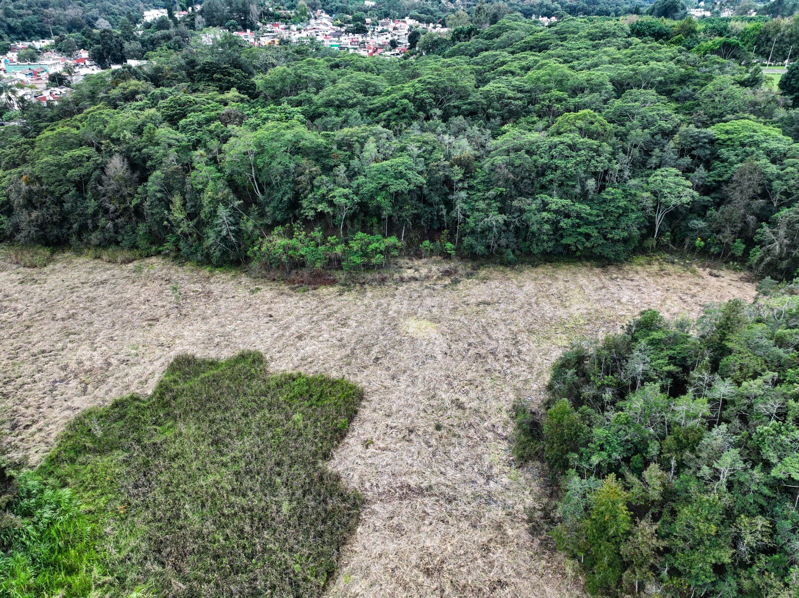 Vecinos piden inspección por trabajos en área natural protegida en Xalapa