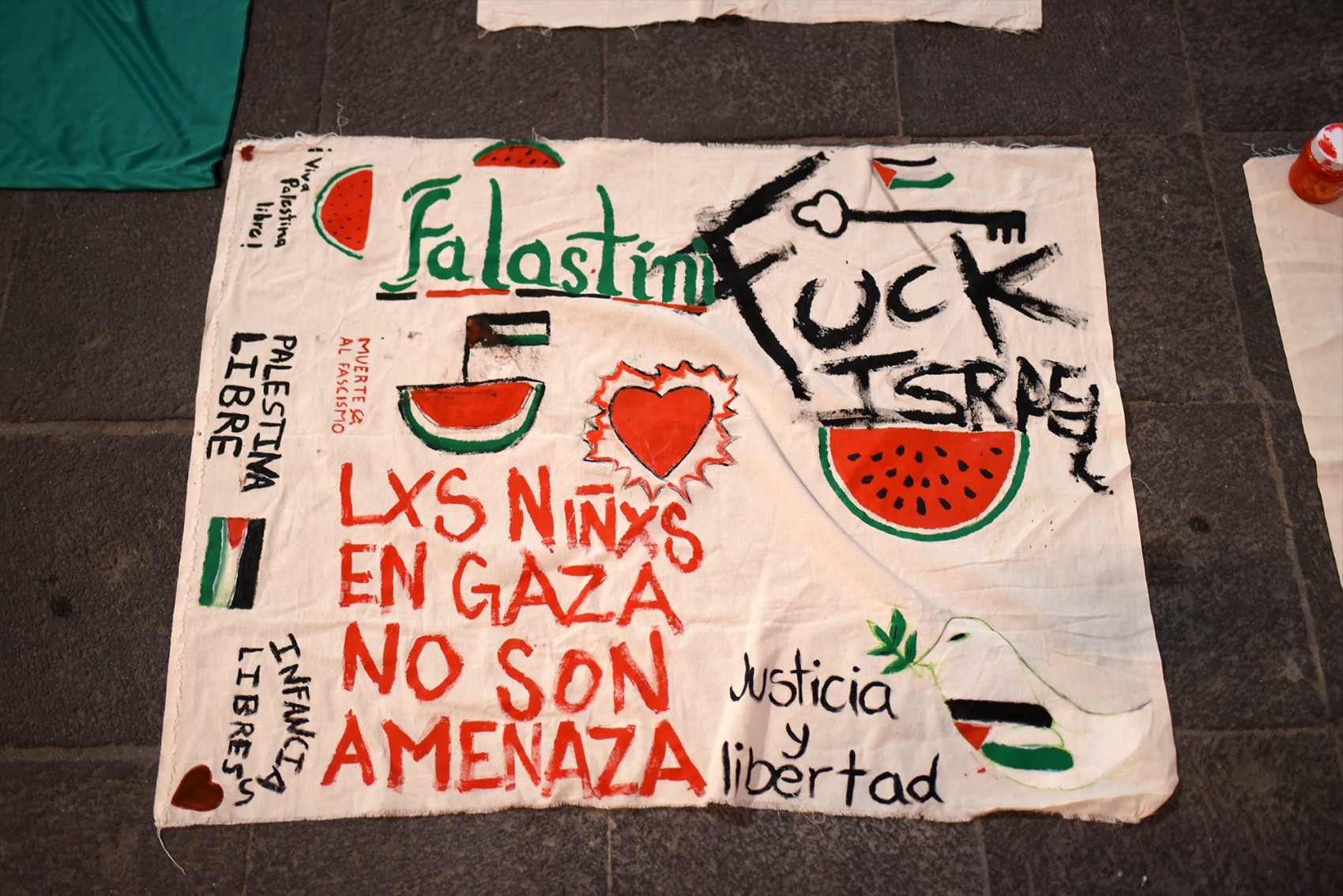 Xalapa: realizan jornada informativa por solidaridad con Palestina