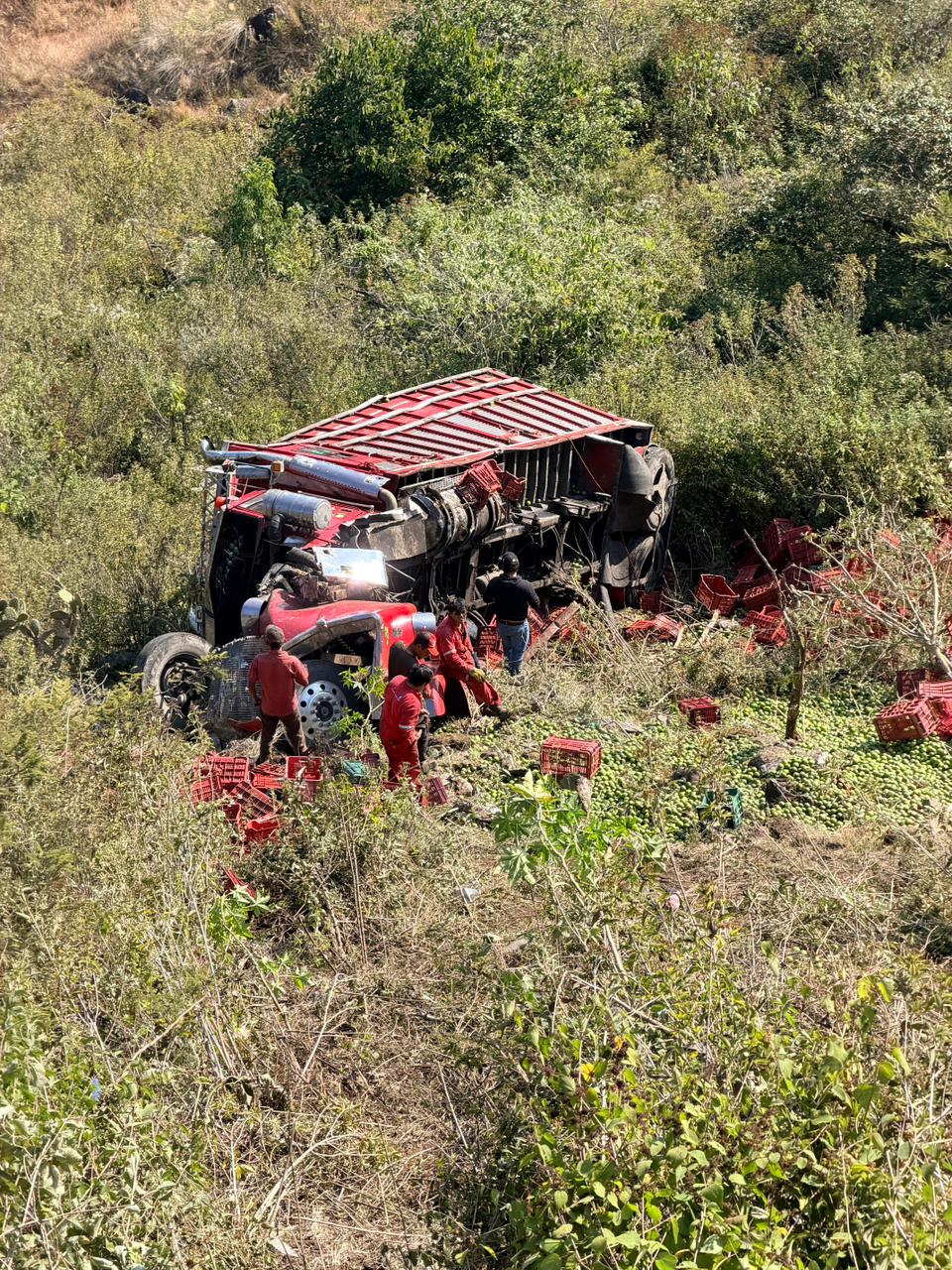 Torton cae a un barranco de 50 metros en las Cumbres de Maltrata