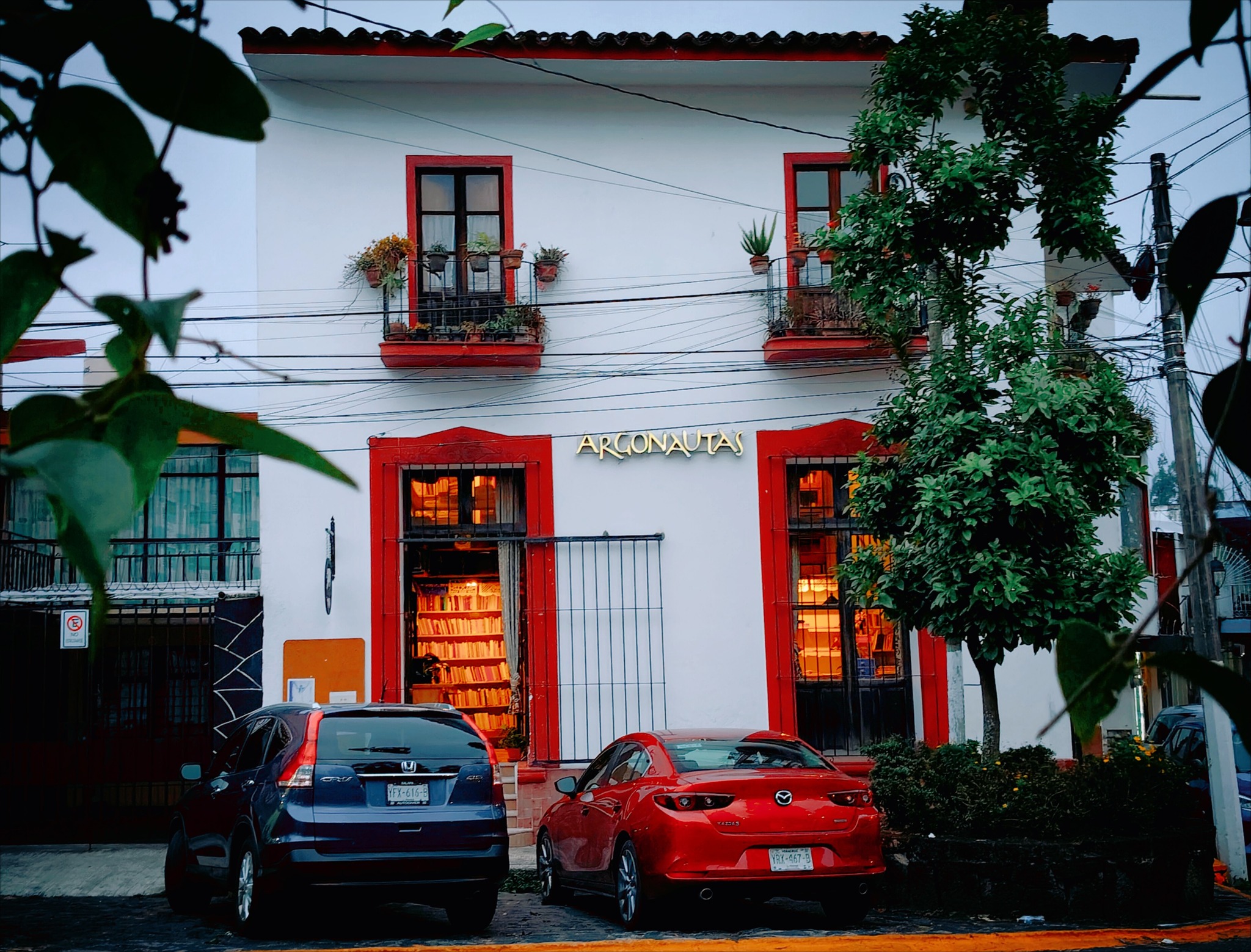 Argonautas, librería de Xalapa apuesta por oficio, memoria y comunidad