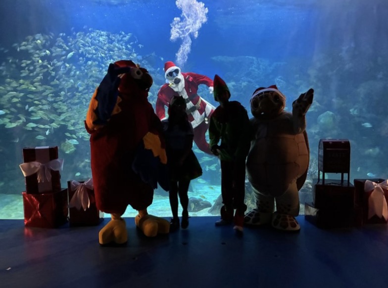 Santa Claus nada en el Acuario de Veracruz y convive con niñas y niños