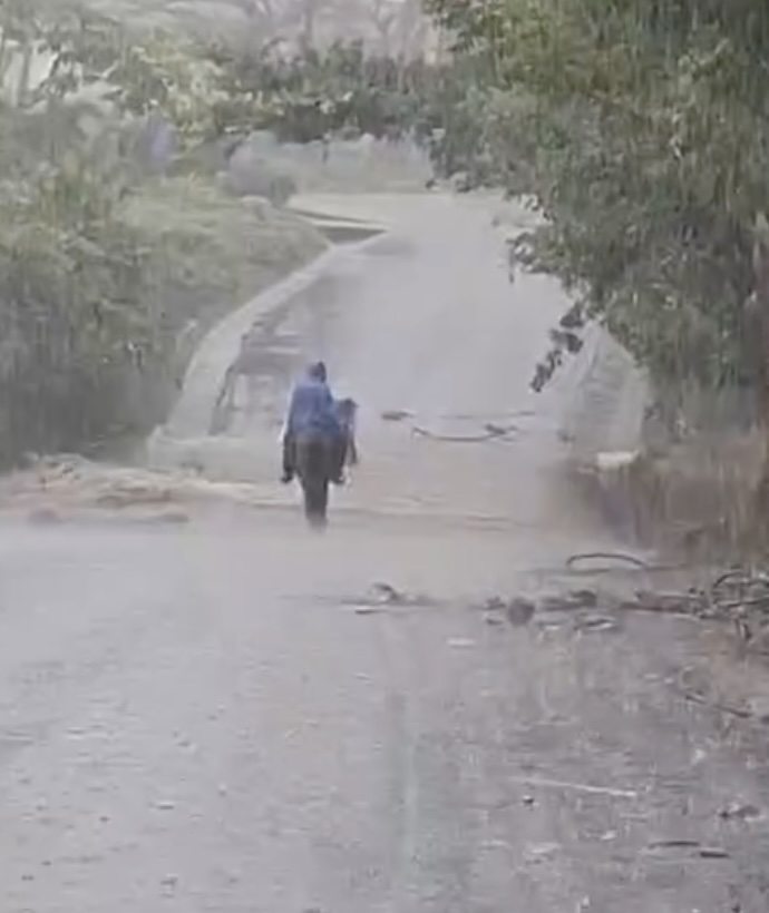 Hallan sin vida a hombre y su caballo arrastrados por arroyo en Los Tuxtlas