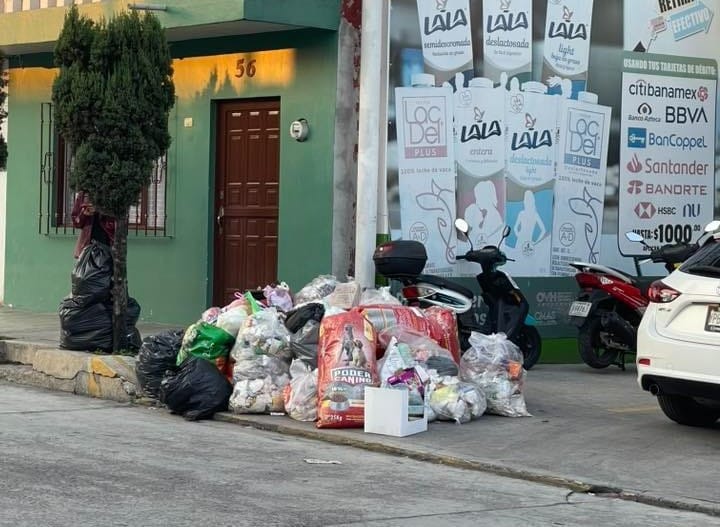 Basura en Coatepec frena promoción turística, reclaman ciudadanos