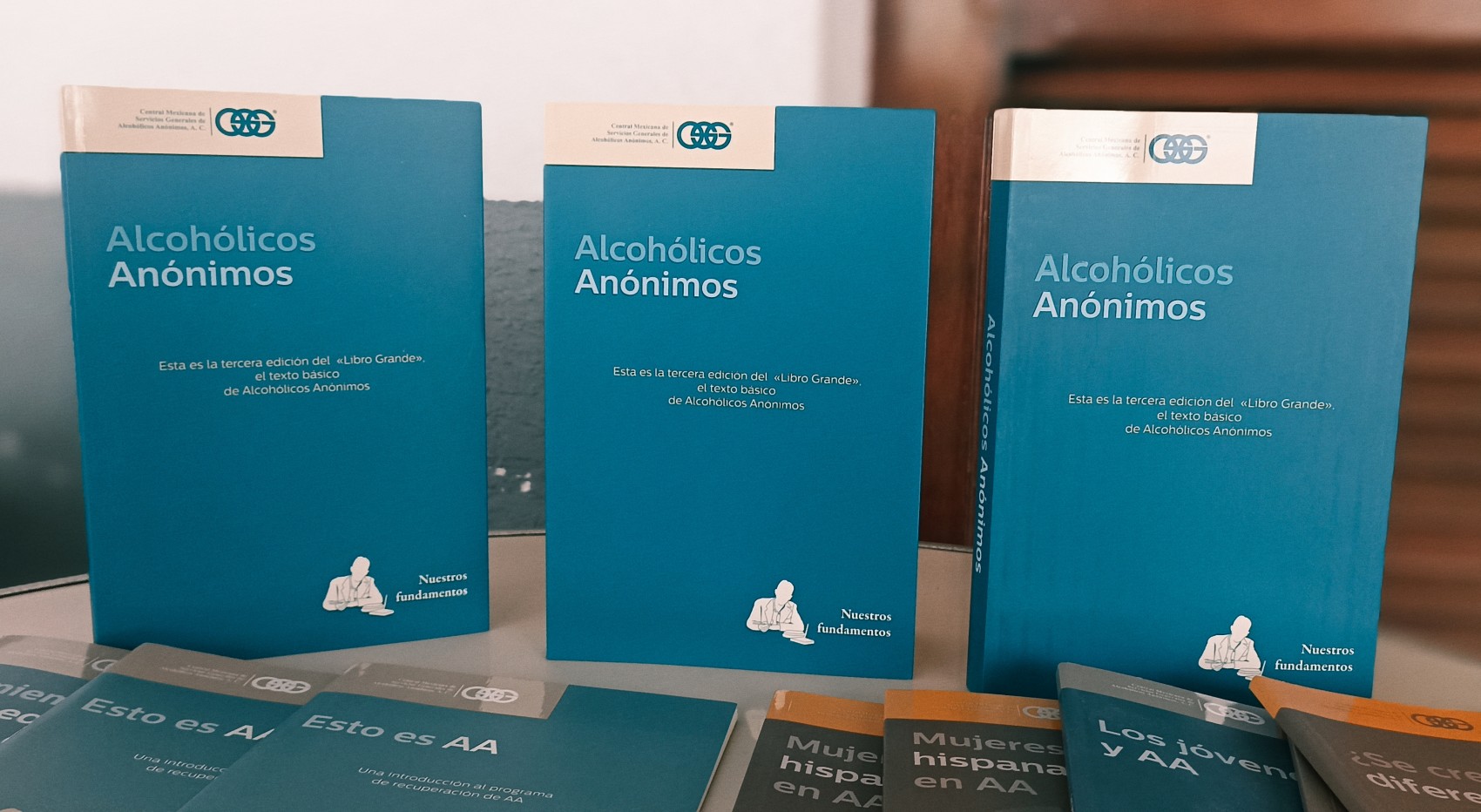 AA atienden casos de alcoholismo en adolescentes de 17 años de edad en Veracruz