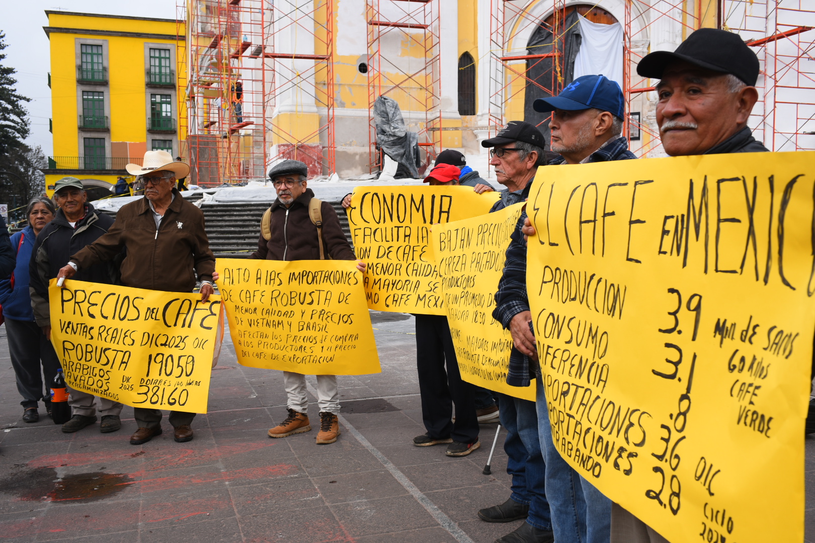 Productores de café arábigo reportan pérdidas por roya y bajos precios