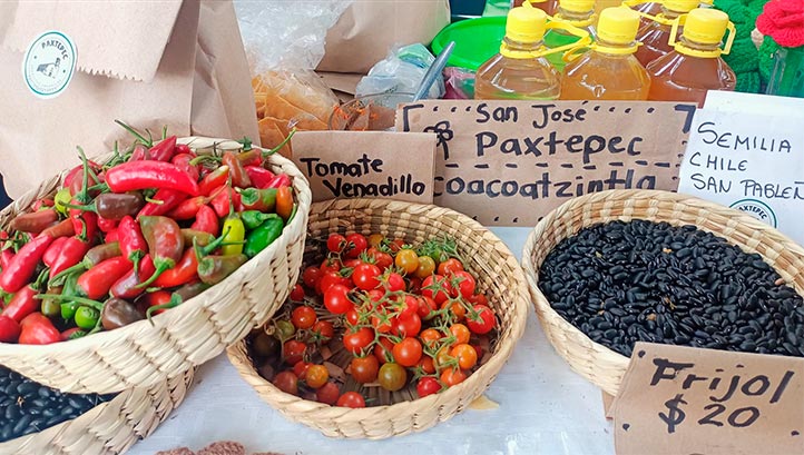 Fundamental, retomar alimentación típica ancestral: Luisa Moreno