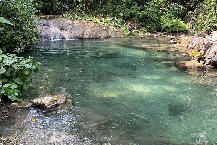 Estudiante UV propone decretar Área Natural Protegida a El Zapotal, en Rinconada