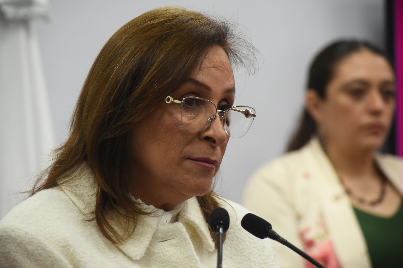 Se investigarán presuntos casos de corrupción en el Registro Público de la Propiead: Rocío Nahle