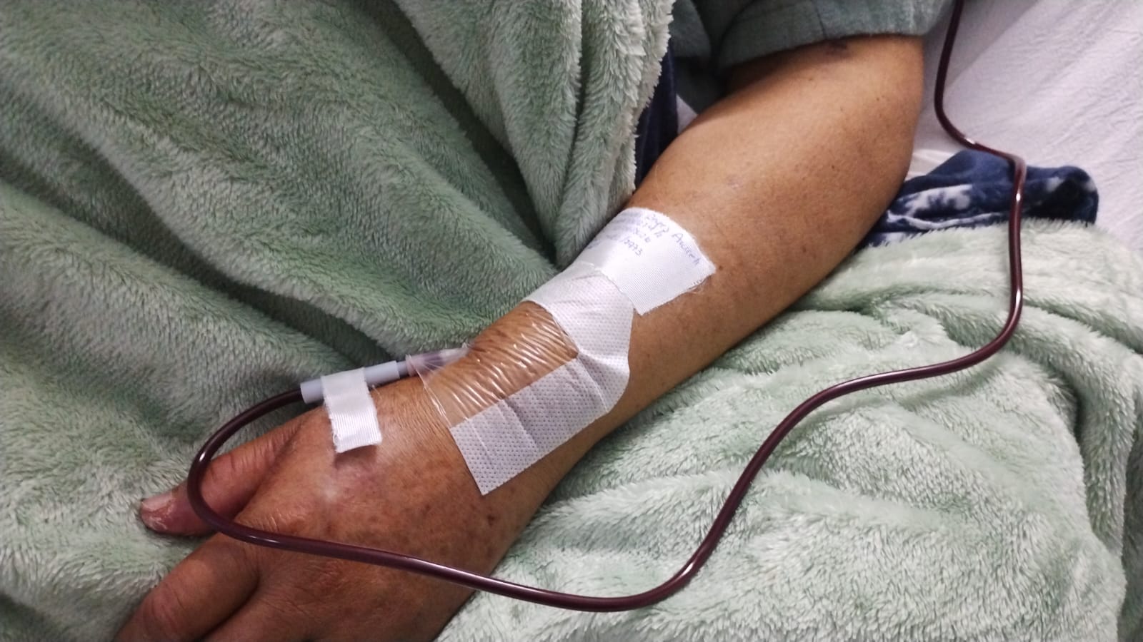 Persiste grave rezago en la cultura de la donación de sangre, tejidos y órganos