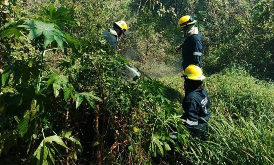 Surada con rachas de 40 km/h para este viernes en Veracruz puerto