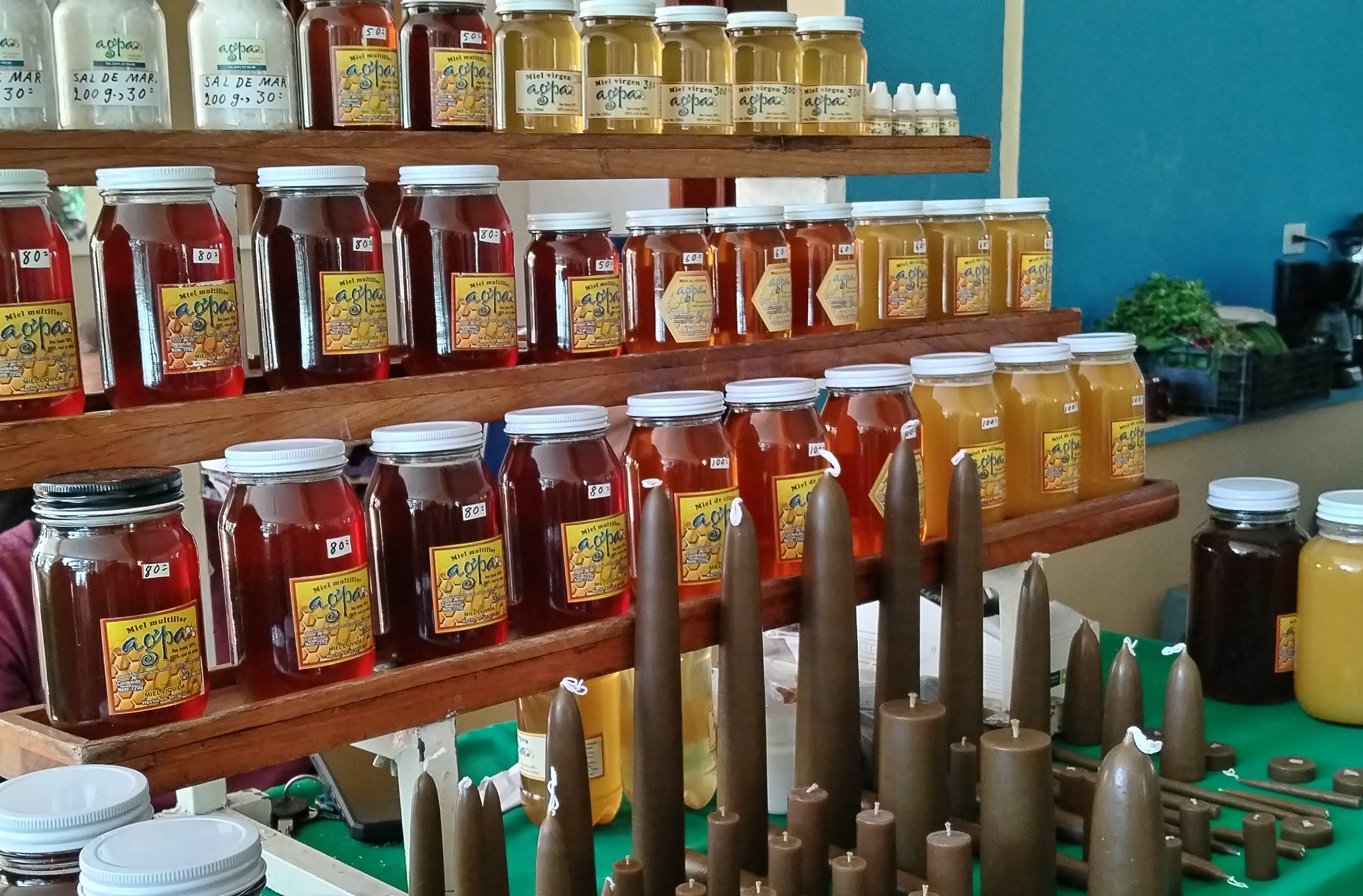 Coatepec, zona rica en producción de miel virgen