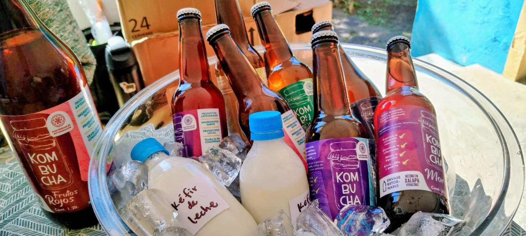 Kombucha y alimentos fermentados ganan consumo en Xalapa