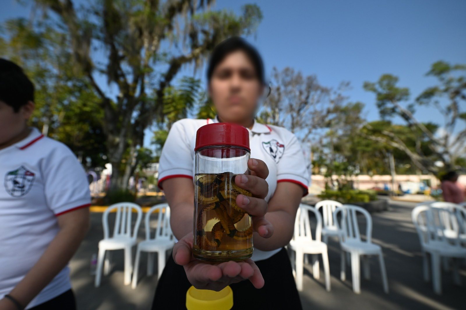 Jefatura de Protección Animal promueve conservación y preservación de anfibios y reptiles.
