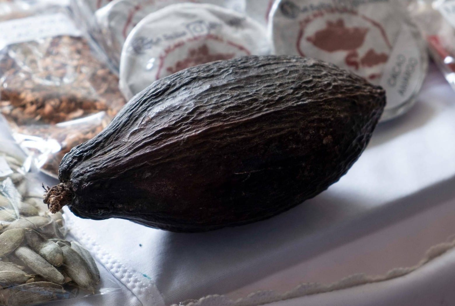 El cacao de Atzalan se abre paso en el mercado veracruzano