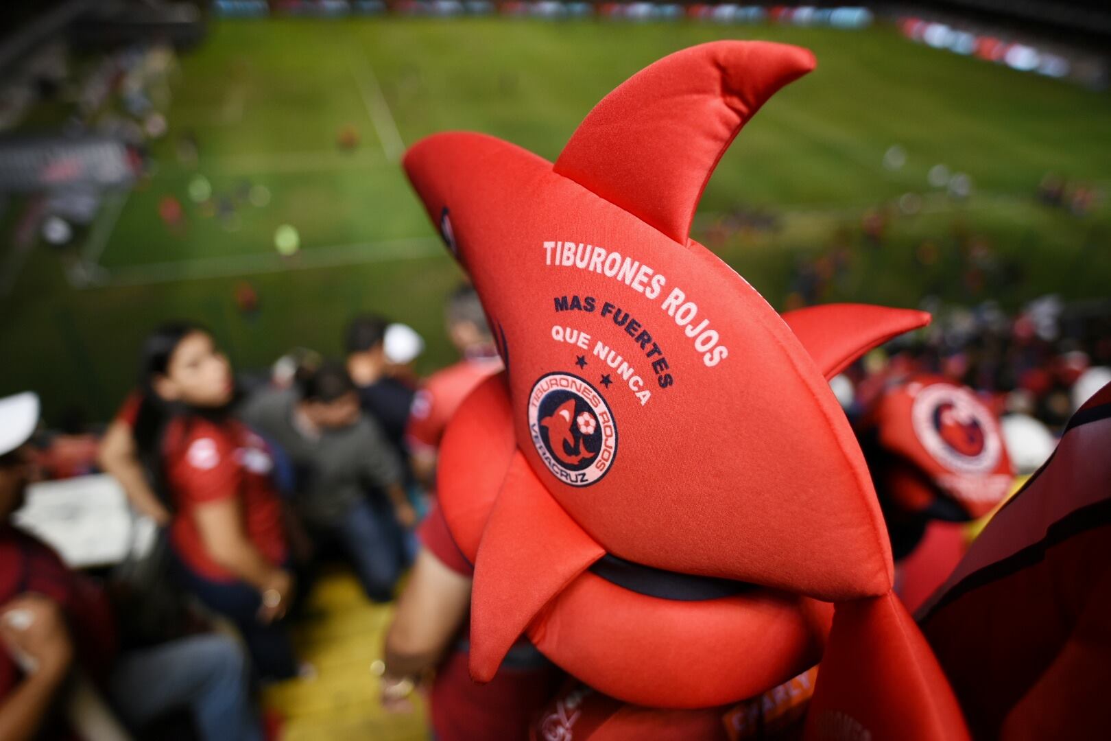 Tiburones Rojos podrían volver a Primera División con apoyo estatal