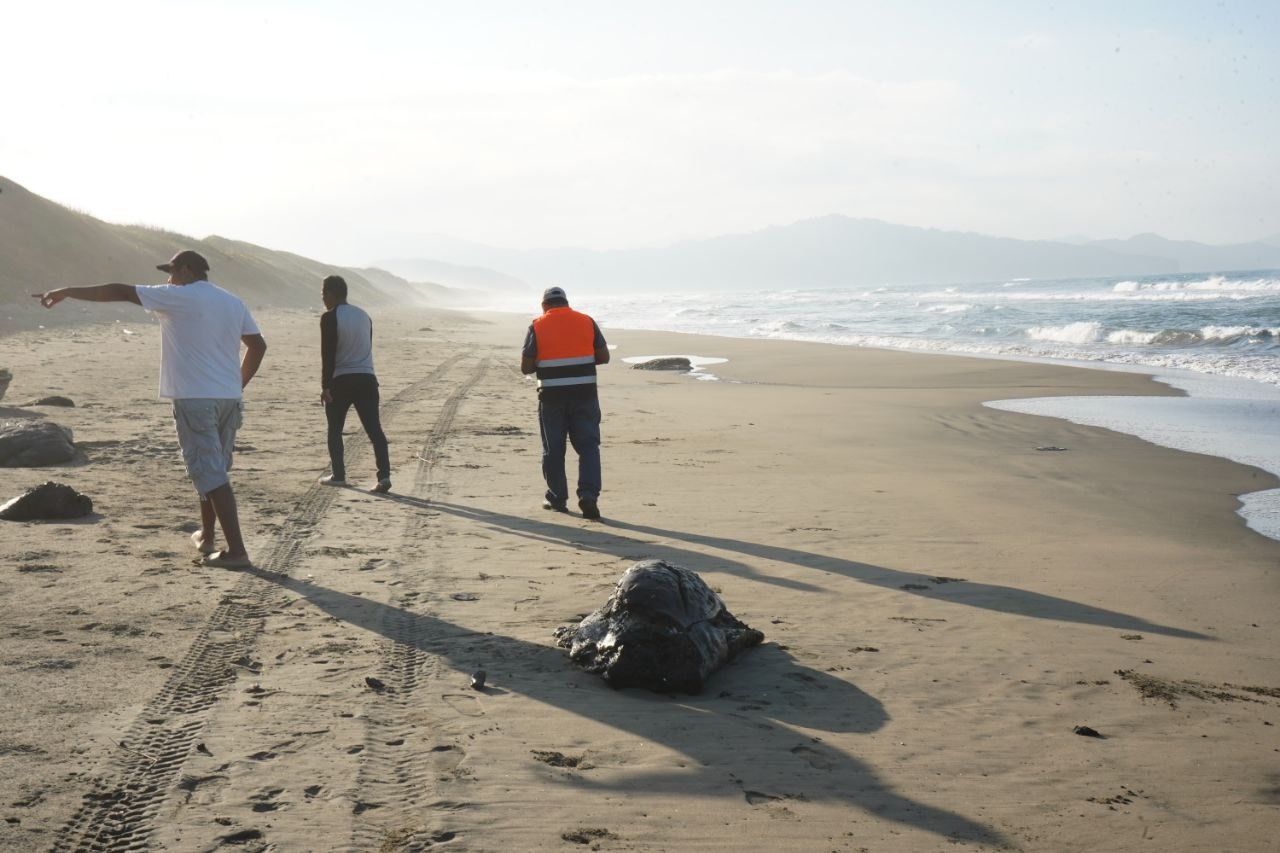 Barco de petrolera privada causó derrame que llegó a playas de Veracruz