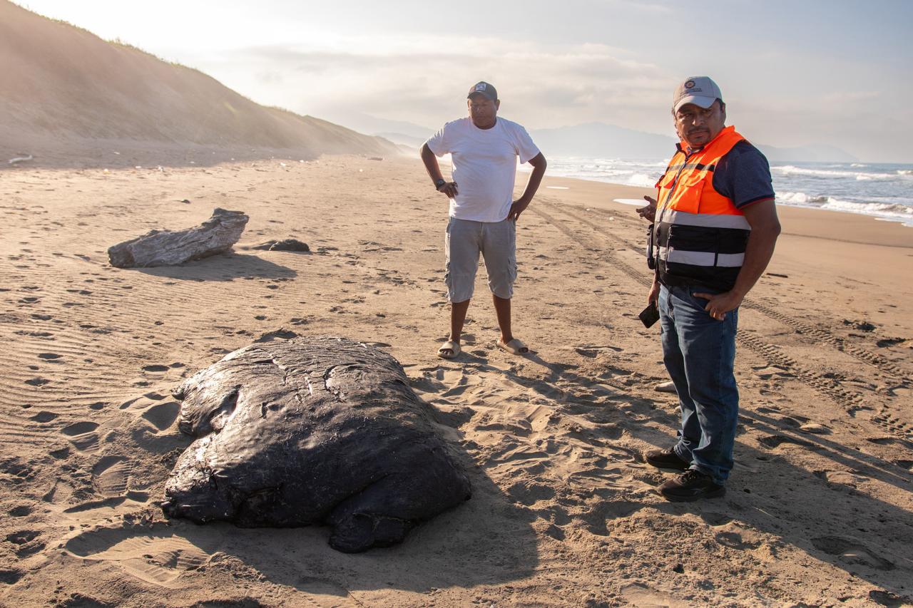 Derrame de hidrocarburo impacta 20 km de litoral en Catemaco