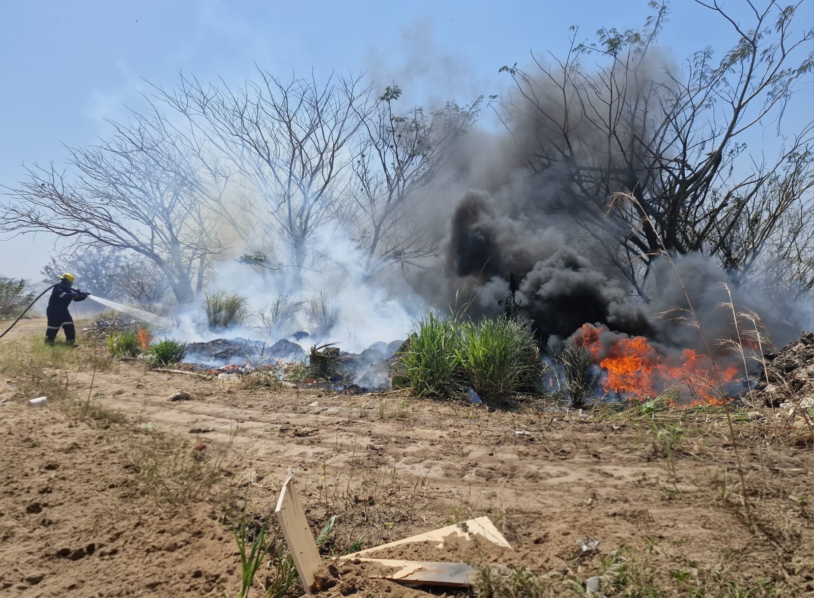 Atienden bomberos y PC municipal de Veracruz incendio de pastizal en zona poniente de la ciudad