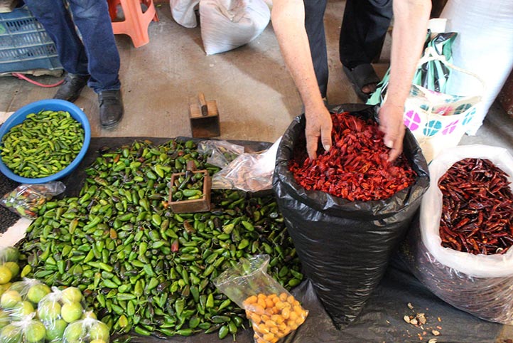 El chile seco de Tantoyuca guarda semillas, saberes y cultura local