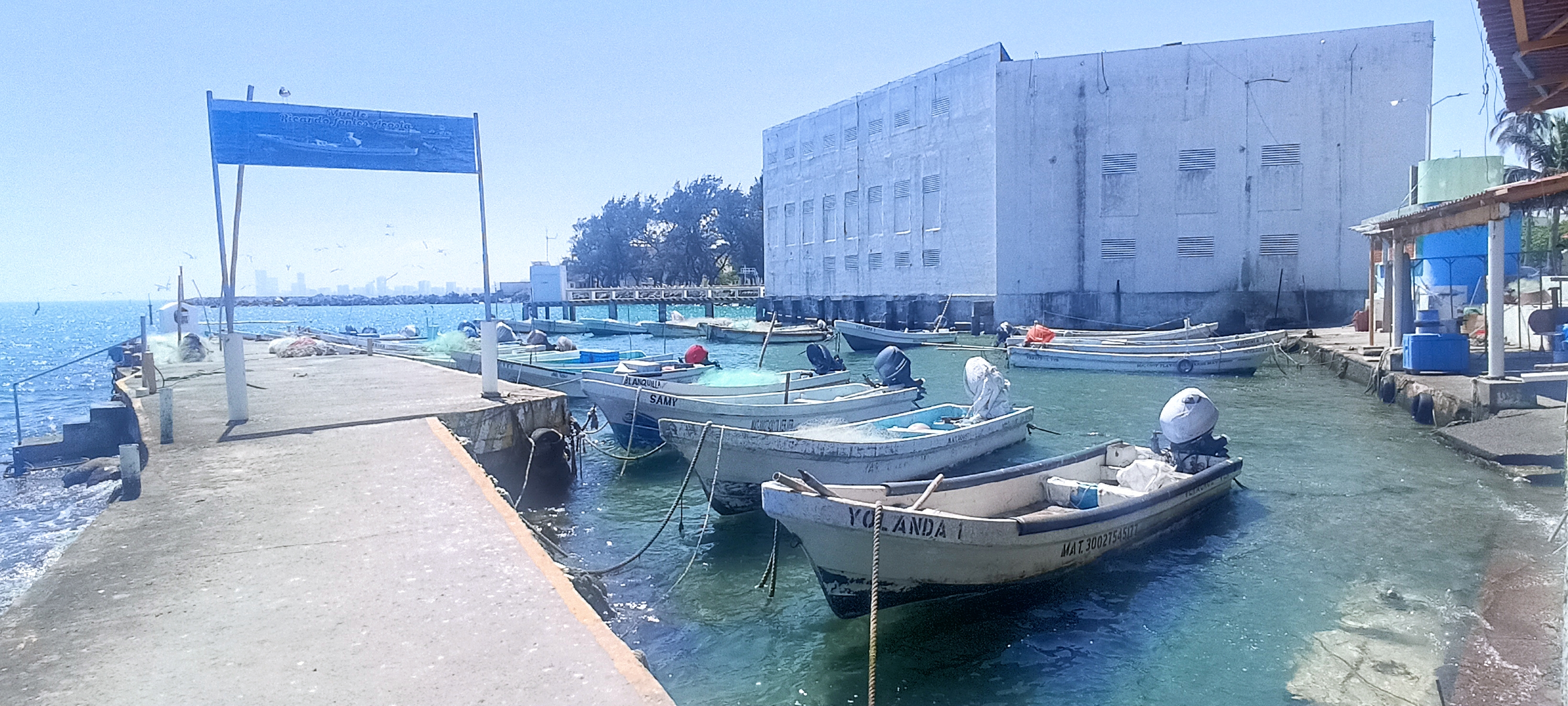 Nortazo retrasa arribazón de corridas de peces a la costa central