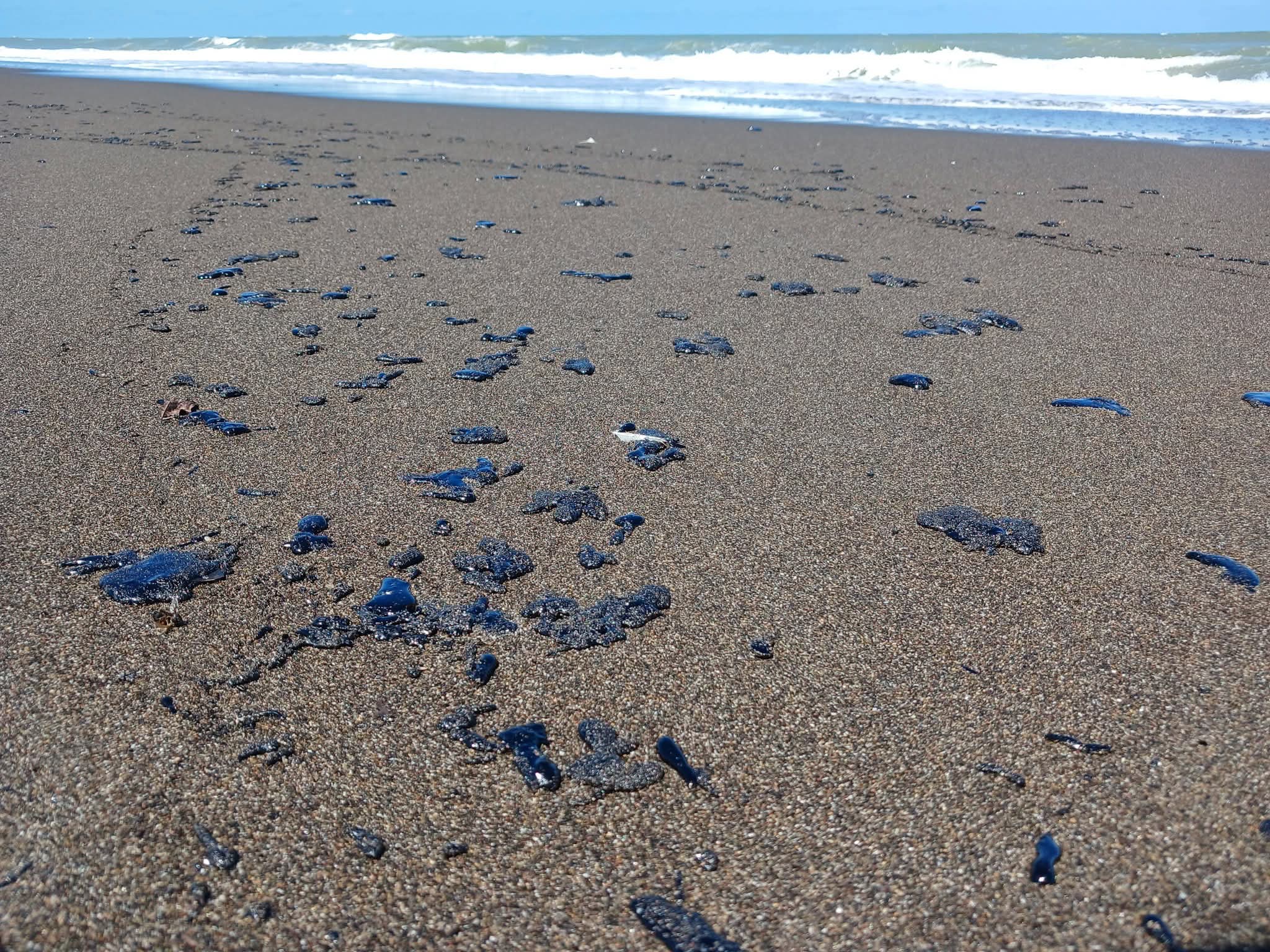 Marina identifica tres fuentes del derrame en el Golfo y revisa buques sospechosos