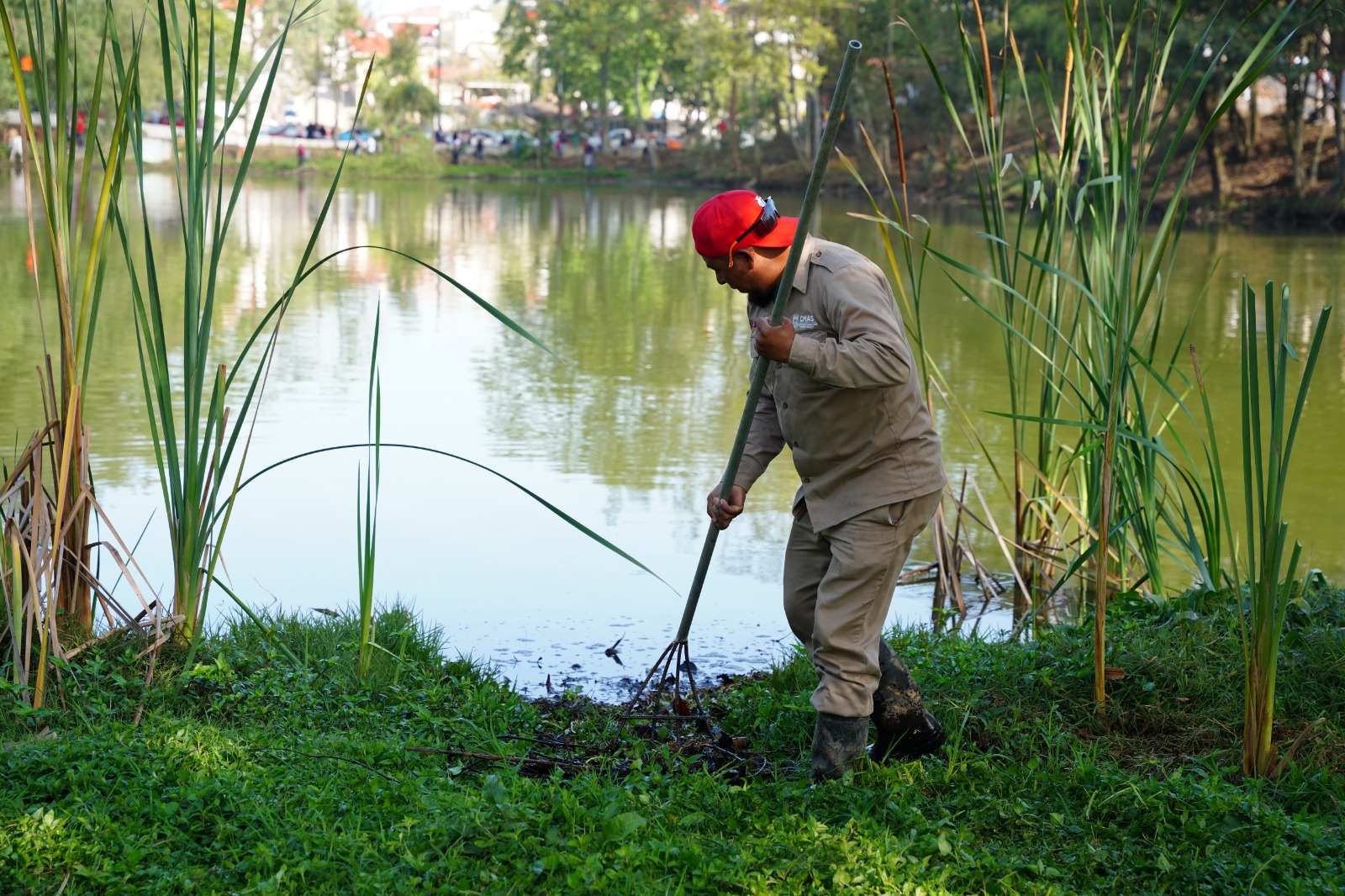 Realizan jornada de limpieza en Laguna de Casa Blanca por Día del Agua en Xalapa
